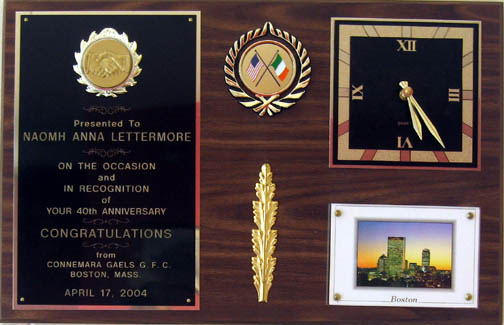 Oscailt an Sp�rtlann 2007